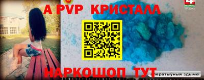 крисы Донской