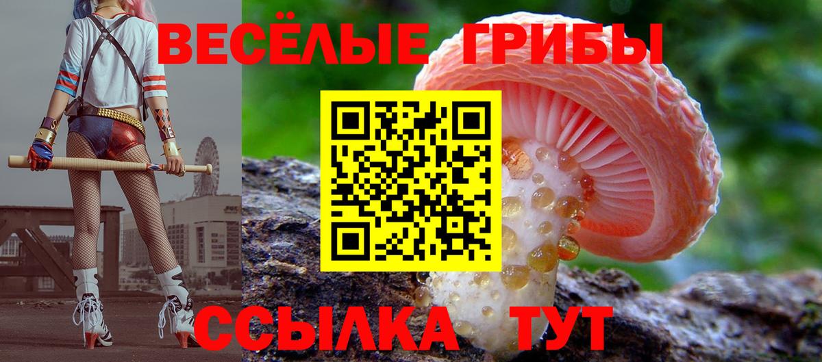 Галлюциногенные грибы MAGIC MUSHROOMS Нижнекамск